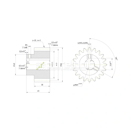 Шестерня прямозубая GS3-T20D19 фото