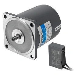 Двигатель индукционный 5IK40GN-C 9 695 руб. Двигатель индукционный 5IK40GN-C