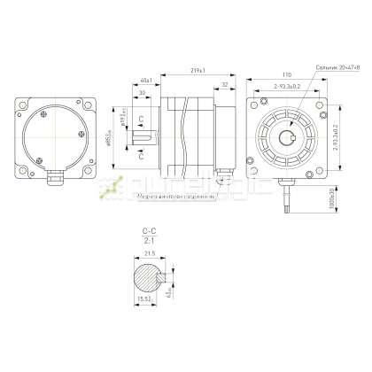 Двигатель шаговый 3PL110H219-D19K-IP65 фото