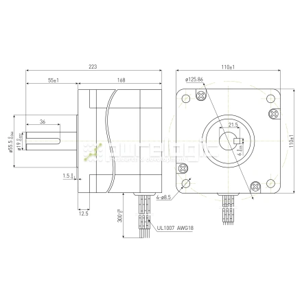 Двигатель шаговый PL110H168-D19 фото