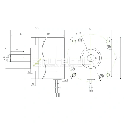 Двигатель шаговый PL130H227-D19 фото