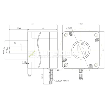 Двигатель шаговый PL110H168-D19 фото