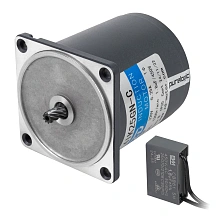 Двигатель индукционный 4IK25GN-C