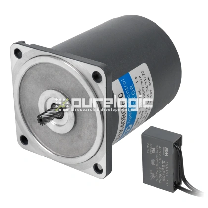 Двигатель индукционный 5IK40RGN-C 10 882 Двигатель индукционный 5IK40RGN-C фото