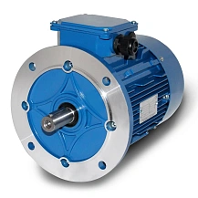 Двигатель асинхронный АИР56B2-IM3081