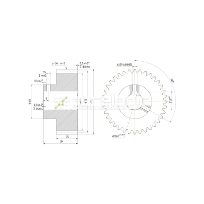 Шестерня прямозубая GS2-T36D19 фото