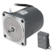 Двигатель индукционный 3IK15RGN-C