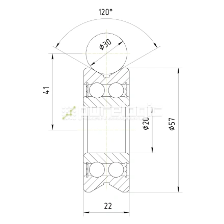 Опорный ролик LV204-57ZZ фото
